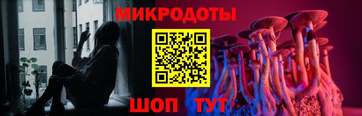 Котельники  Галлюциногенные грибы мицелий  Псилоцибиновые грибы ЛСД  Вход с VPN 